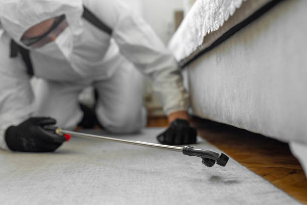 Professional Bed Bug Control technician working in Oakboro, NC